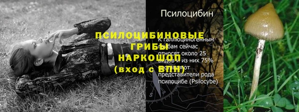 прущая мука Вязники
