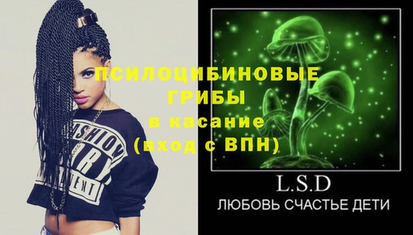 ECSTASY Шадринск